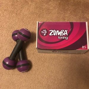 Zumba Shaker Weights